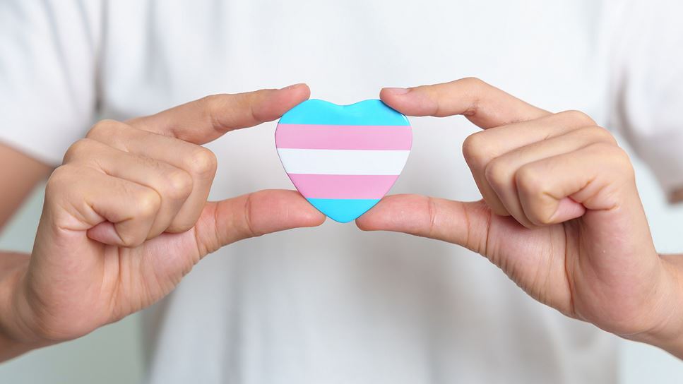 Person holding a transgender flag shaped as a heart