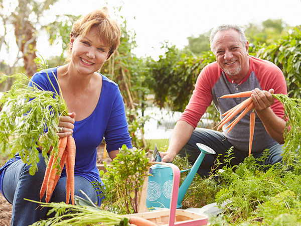 Food Security And Sustainability